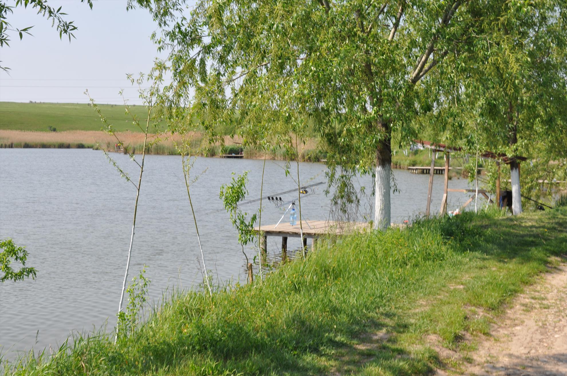 Teslui - dsc0269.JPG